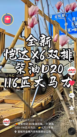 全新愷達(dá)X6柴油雙排，德威D20-116匹大馬力。